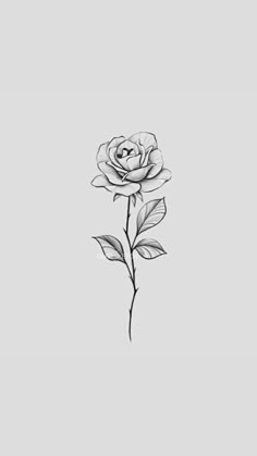 Delicate Rose Drawing, Small Roses Tattoo Design, Rose Drawing Simple Tattoo Ideas, Rose Illustration Tattoo, Small Rose Stem Tattoo, White Rose Tattoo Design, Whimsical Rose Tattoo, Sketch Rose Tattoo, Rose Stem Tattoo Design