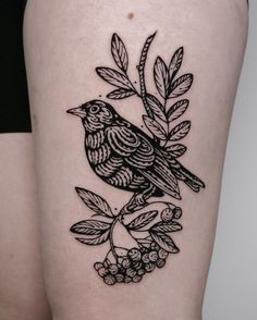 a black and white bird sitting on top of a tree branch with leaves around it