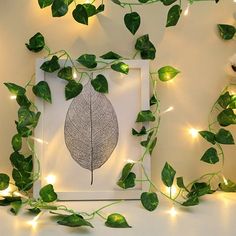 a white frame with some green leaves and lights on the wall next to it is a teddy bear