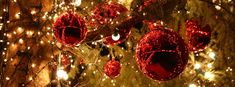 red ornaments hanging from a tree with lights