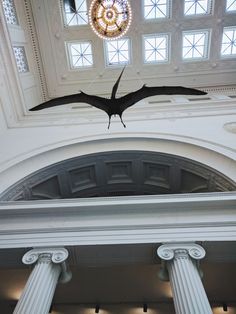 a bat hanging from the ceiling of a building with columns and chandelier above it