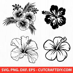 four tropical flowers svg files for cutting, png and dxf eps