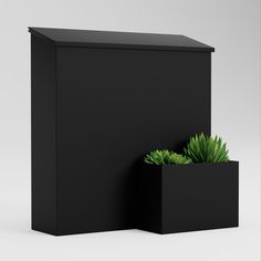 a black box with a green plant in it