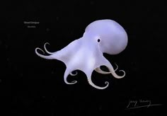 an octopus is floating in the dark water with its tentacles curled up and it's eyes open