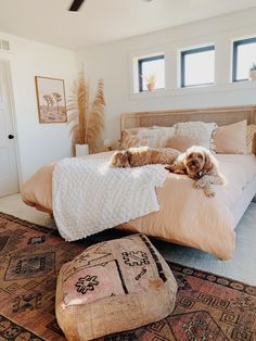 a dog laying on top of a bed in a bedroom