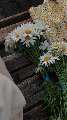 daisies are laid out on a wooden bench