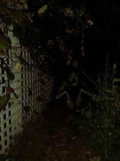 a creepy looking animal is coming out of the dark in front of a white fence