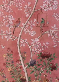 two birds are perched on the branches of a tree in front of a pink wall