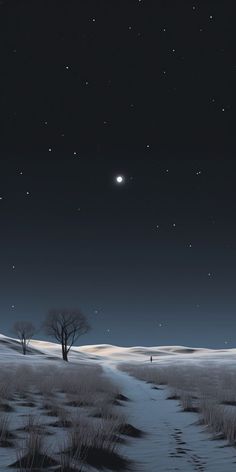 the night sky is full of stars, and there are two trees in the foreground