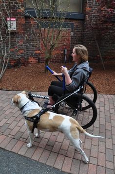 a woman in a wheel chair with a dog on a leash and holding something in her hand