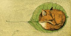 a drawing of a fox curled up in a leaf with its head on the ground