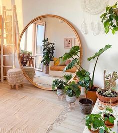 a living room filled with lots of potted plants next to a large round mirror