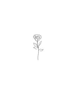 a single rose is shown in the middle of a white background with black lines on it