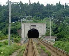 the train is coming out of the tunnel on the tracks to go into the woods