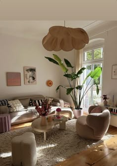 a living room filled with furniture and a large plant in the middle of the room