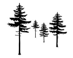 some trees that are standing in the grass and one is black on white with no background