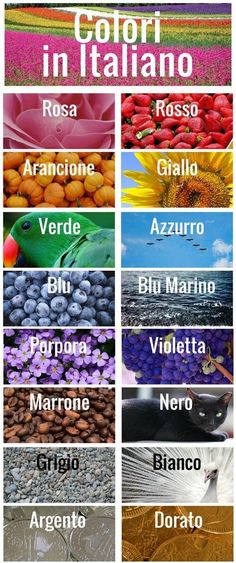 an image of the colors in italian