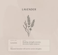 the word lavender is written in black and white