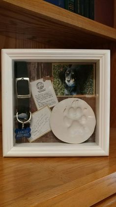 a dog's paw is shown in a white frame on a wooden shelf next to a bookcase