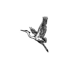 a black and white drawing of a bird flying