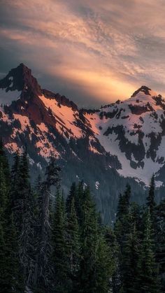 a mountain covered in snow and surrounded by pine trees under a cloudy sky at sunset