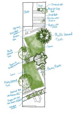 an architectural drawing shows the various areas in which trees can be planted, and how they are