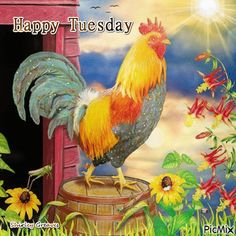 a rooster standing on top of a wooden stump in front of sunflowers and the words happy tuesday