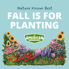 the cover of nature knows best fall is for planting, featuring an image of flowers and plants