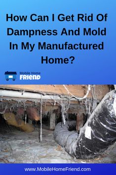 the words how can i get rid of dampness and mold in my manufactured home?