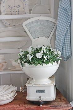 a white bowl filled with flowers sitting on top of a scale