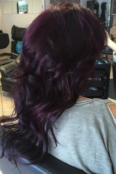 Dark Purple Hair With Blonde, Eggplant Hair Color Dark, Blackberry Hair Color Dark, Plum Aesthetic, Lifestyle Goals