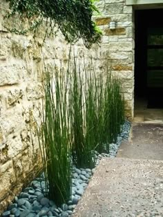 there is a stone wall with grass growing out of it and a door in the background