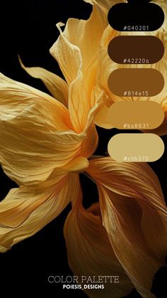 an image of a yellow flower with color palettes in the bottom right hand corner