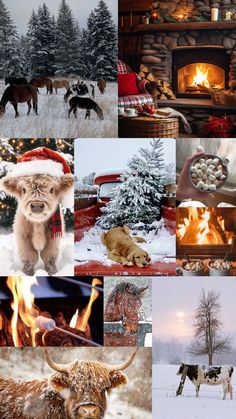 a collage of pictures with animals, trees and fire in the background is snow