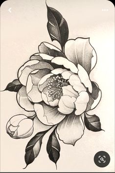 a black and white drawing of a flower