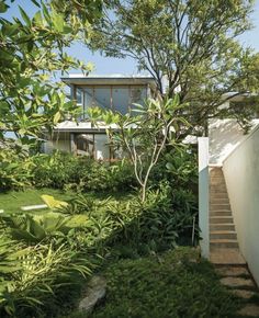 the house is surrounded by lush green plants and trees, with stairs leading up to it