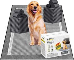 a dog sitting on top of a pile of black towels next to stacks of folded towels