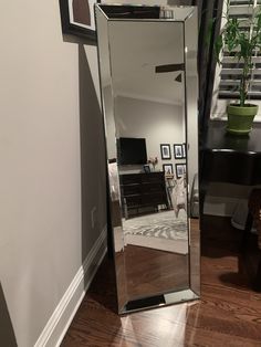 a large mirror sitting on top of a hard wood floor next to a wall mounted plant