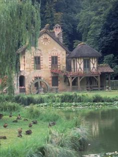 an old house sitting next to a pond with ducks swimming around in front of it