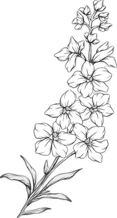 a drawing of some flowers on a white background