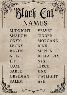 an old black cat name chart