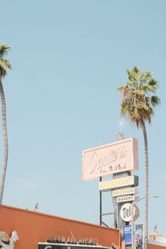 palm trees line the street in front of a restaurant