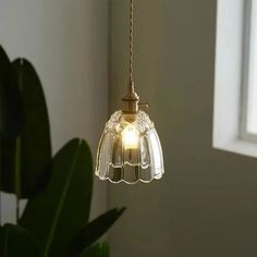 a glass light hanging from a ceiling in a room with a potted plant next to it