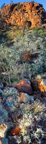 the rocks are covered with plants and grass