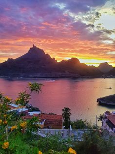 the sun is setting over an island with mountains in the background and flowers growing on the ground