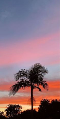 a palm tree is silhouetted against an orange and pink sky