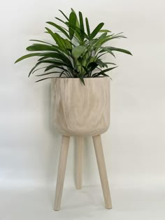 a potted plant sitting on top of a wooden stand