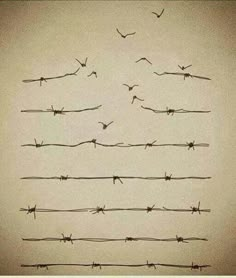 barbed wire with birds flying in the sky above it and on top of each other