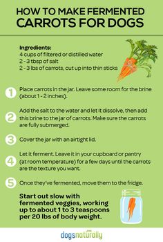 an info sheet describing how to make fermented carrots for dogs