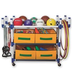 a rack with many different types of sports balls and equipment on it's sides